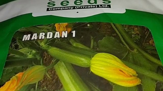 Squash Hybrid Seeds| Vegetable Seeds| Icon Seeds Company| Variety Mardan 1