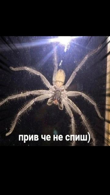 весна хорошо,но #shorts #spring #весна смотреть онлайн