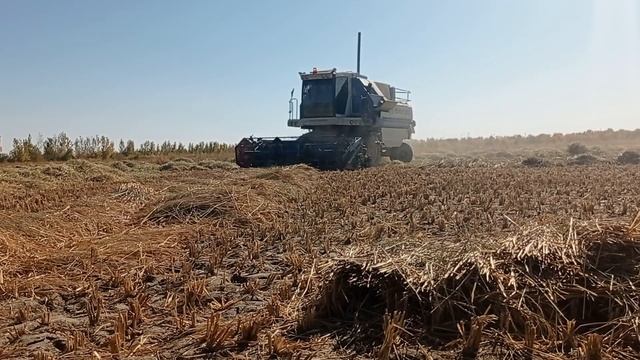 енисей комбайн 954 смотреть онлайн