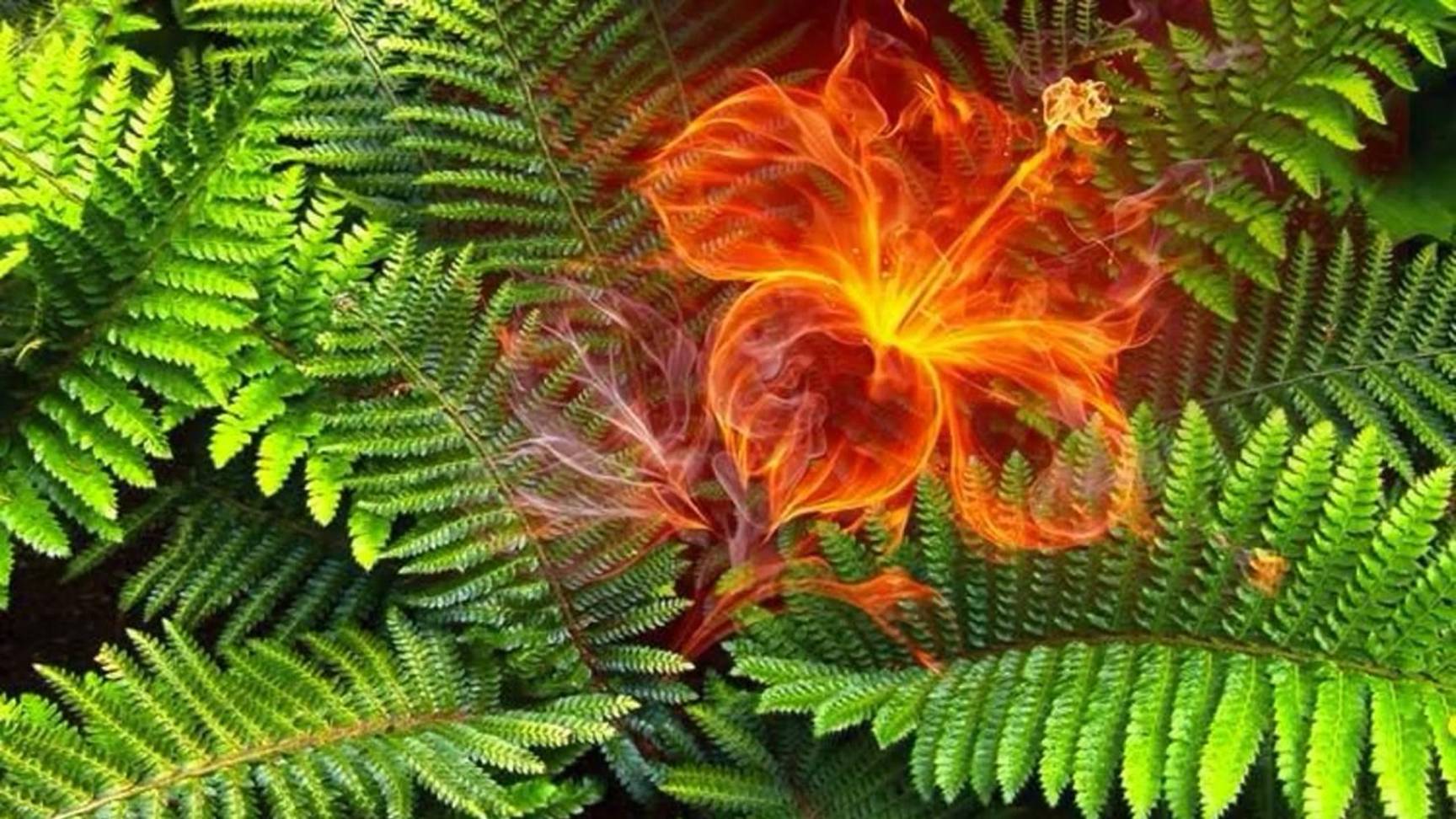 "По Вере вашей..."- Сила состояния смотреть онлайн