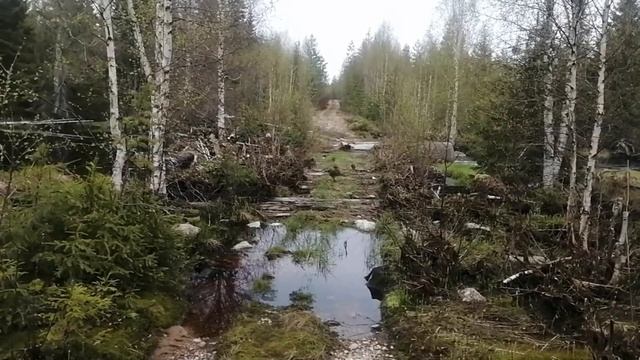 Всё из за металлокопа смотреть онлайн