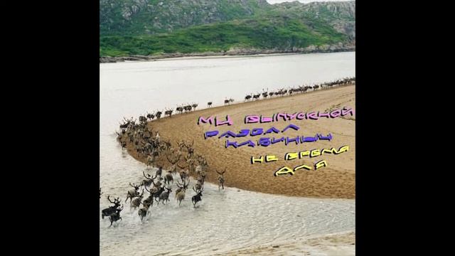 МС ВЫПУСКНОЙ и Развал Кабиныч — Не время для... смотреть онлайн