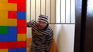 Воришку поймал полицейский на синем тракторе