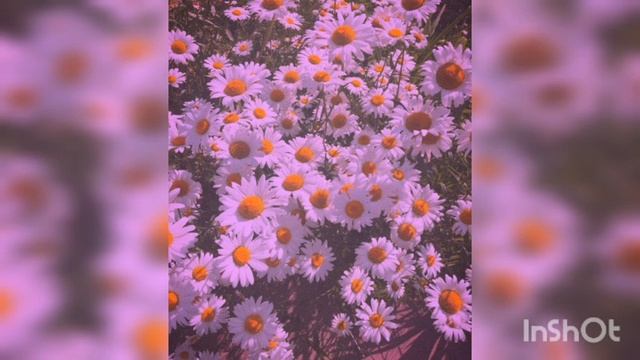 Elisa & Emilie Ocean(slowed)🦋🥀🌊 смотреть онлайн