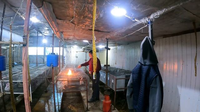 Уборка помещения в моём хозяйстве смотреть онлайн