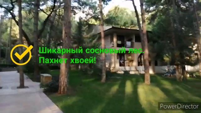 Champion Holiday Village отличный отель 5* смотреть онлайн