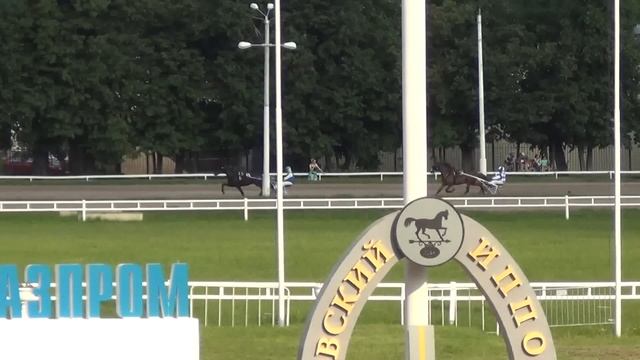 Московский ипподром. Бега. 15.06.16. Заезд 1(335)