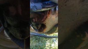 самодельный минитрактор из погрузчика Балканкар