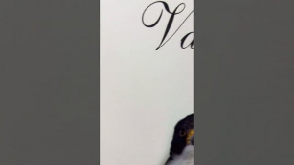 Сейф Valberg Сапсан-4 EL Print