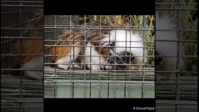 Noah ark смотреть онлайн