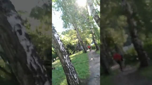 Рязань, ЦПКО, 31.07.2021. смотреть онлайн