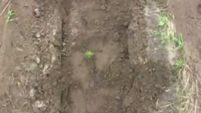 Лісопосадочна машина СЛЧН-1М.mpg смотреть онлайн