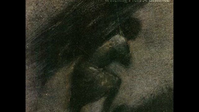 Warning: Watching from a Distance смотреть онлайн