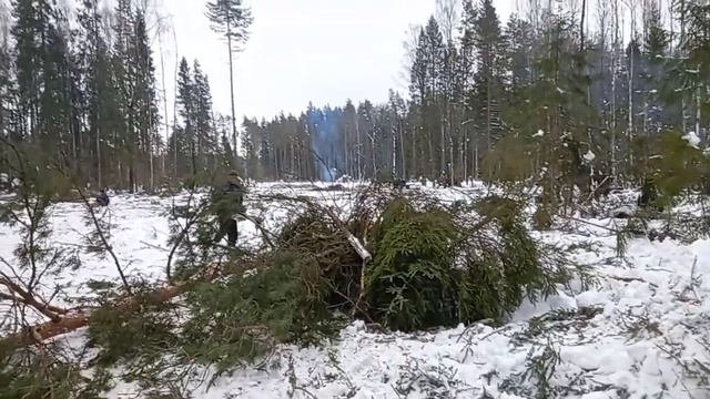 мтз 82 . в лесу . смотреть онлайн