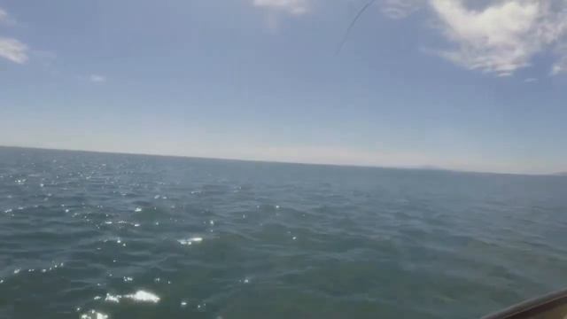 Punta Mangles - Sea of Cortez - Sailing - Koper Kabana - Mexico Fly Fishing - Island & Green Jacks смотреть онлайн