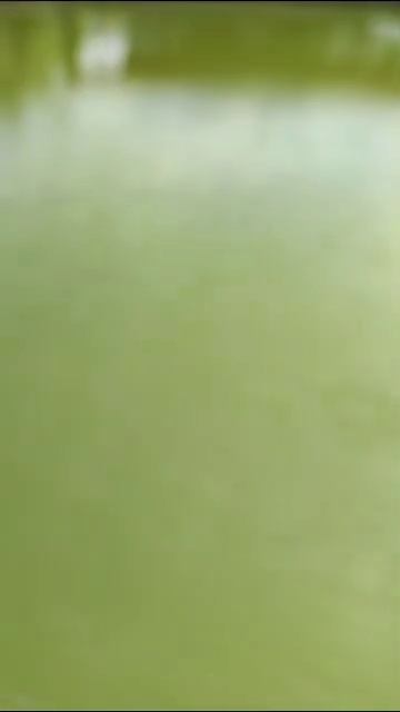 В ГРОЗНОМ, ЛАЙК ПАРК. 2023ГОД