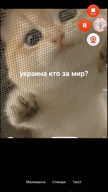 забыла про цвет глаз короче цвет глаз у меня зелёный смотреть онлайн