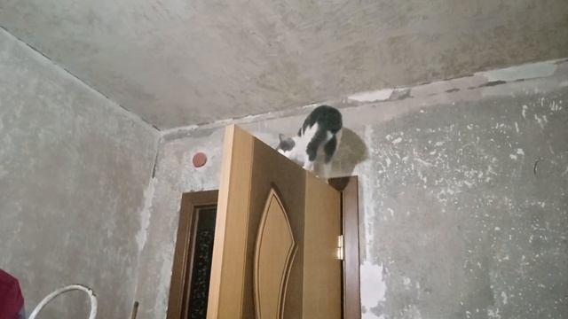 Почему порвался шкаф? смотреть онлайн