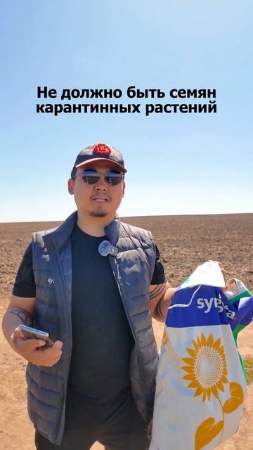 ЧТО ТАКОЕ ПОСЕВНАЯ ЕДИНИЦА? смотреть онлайн