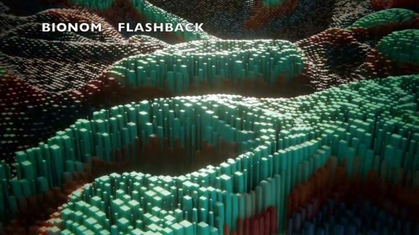 Bionom - Flashback (Original mix)