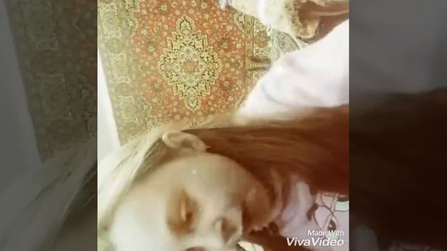 Я пробую вкусняшкт из Америки и России смотреть онлайн