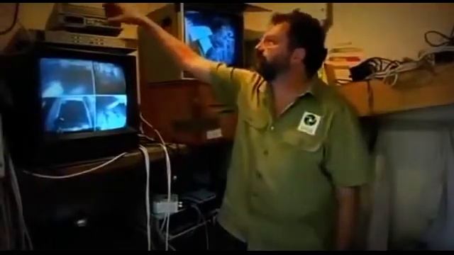 World strangest animals - documentary смотреть онлайн