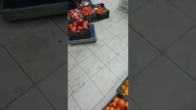 Такого вы ещё не видели! Результаты сбора урожая! смотреть онлайн