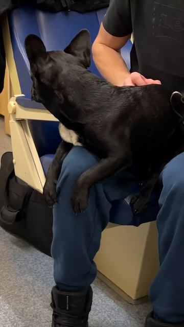 Сосед.😉😊 РЖД. В вагоне. Ярославль-Москва. RUSSIAN RAILWAYS.