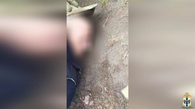 Задержание жителей Алтайского края за кражи смотреть онлайн