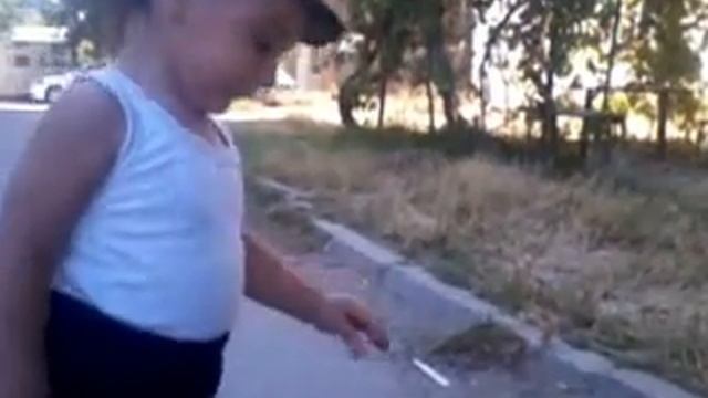 дети и кошки Айханчик знакомется с кошкой смотреть онлайн