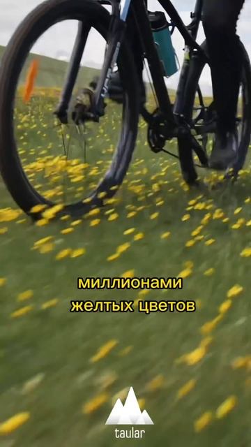Подробности: Https://velotour.kz/routes/assy-bartogay/ #туризм #казахстан #велотуризм