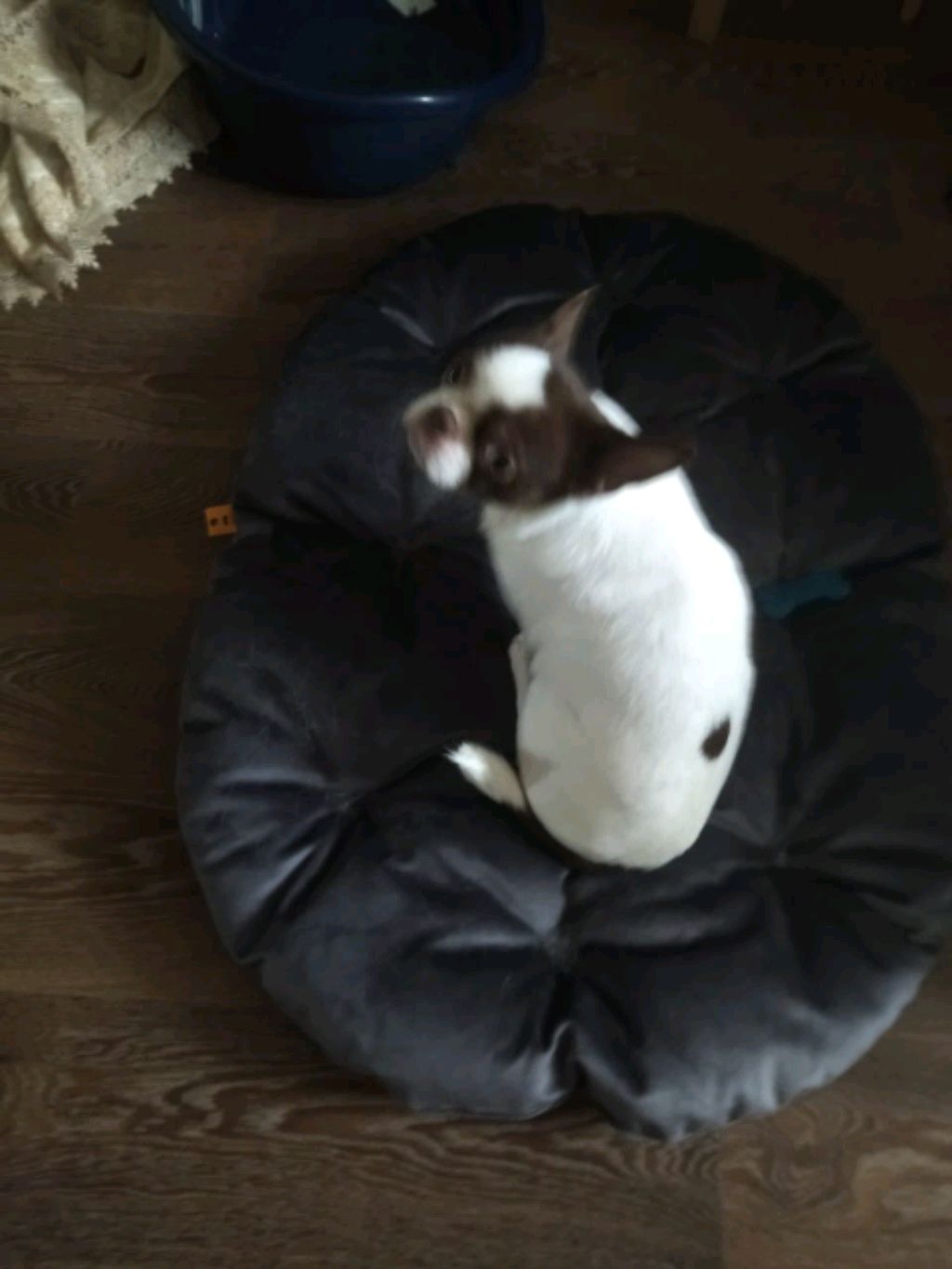 😭😭😭😭 почему