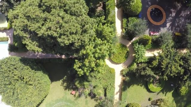 Hotell Dionysos, Rhodos – her trives hele familien – Apollo Reiser