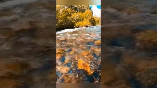 Красивое чтение Корана. Guzal qroat смотреть онлайн