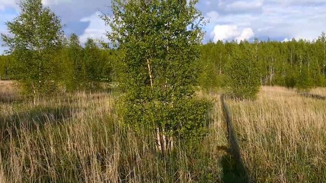 Участок смотреть онлайн