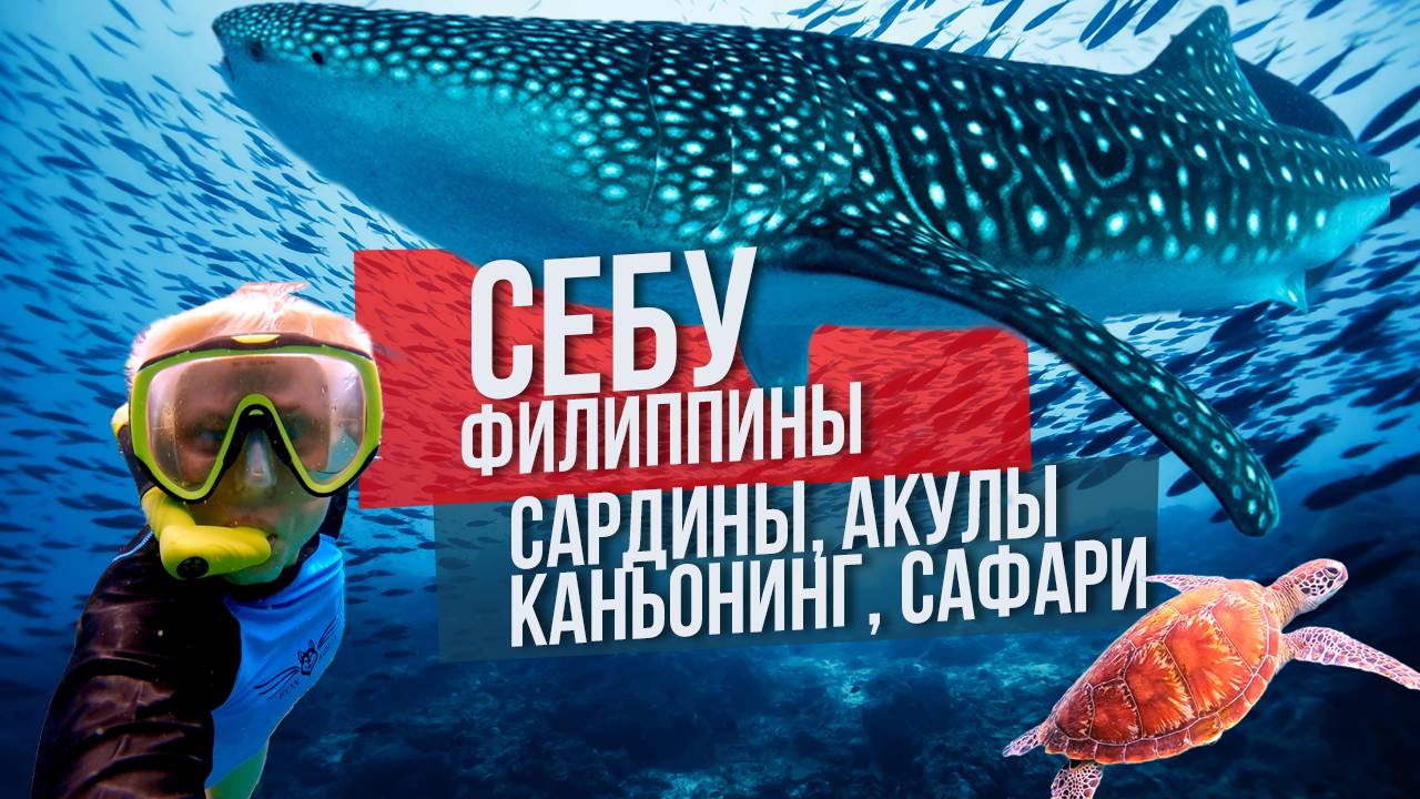 Себу Филиппины: сардины, акулы, каньонинг и сафари смотреть онлайн