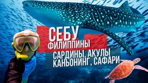 Себу Филиппины: сардины, акулы, каньонинг и сафари