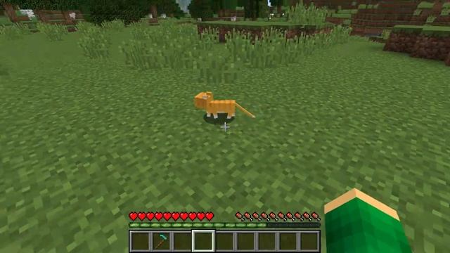 Я_СПАС_КОТЁНКА_В_МАЙНКРАФТ_Риколит_Minecraft