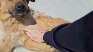 40 Новый этап жизни