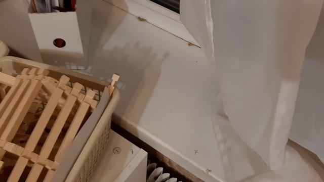 Уборка #48 комнаты) (2 сезон) смотреть онлайн