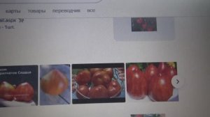 Какие сорта Томатных Гномов я высадила на улицу в первую очередь? Гном Крапчатое сердце.