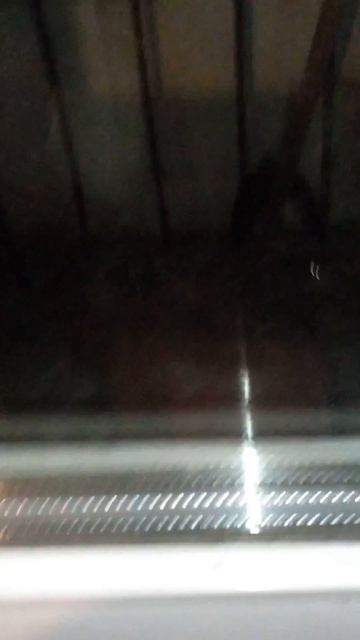 К нам на балкон стриж залетел но потом его мой брат заставил полетать!!@ смотреть онлайн