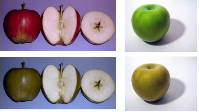 Сенсорные системы_рус