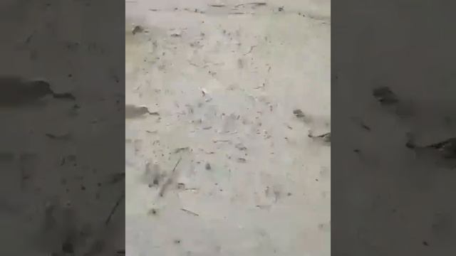 Потоп в Сочи: улицы курорта превратились в бурлящие реки на видео 26 07