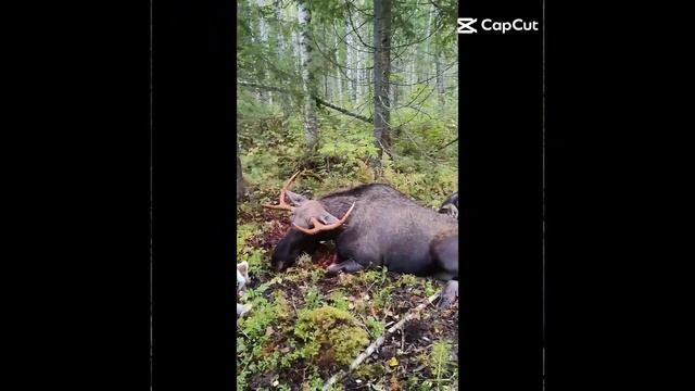 5 января 2024 г. смотреть онлайн