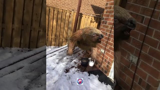 JWALIVE- Eremotherium a Dinosaur смотреть онлайн