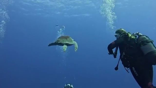 Ларнака. Топ уютных мест Кипра. смотреть онлайн