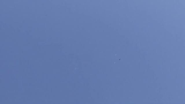 Голуби на балконе.Утренний подъем.Баку 16.08.2021 смотреть онлайн