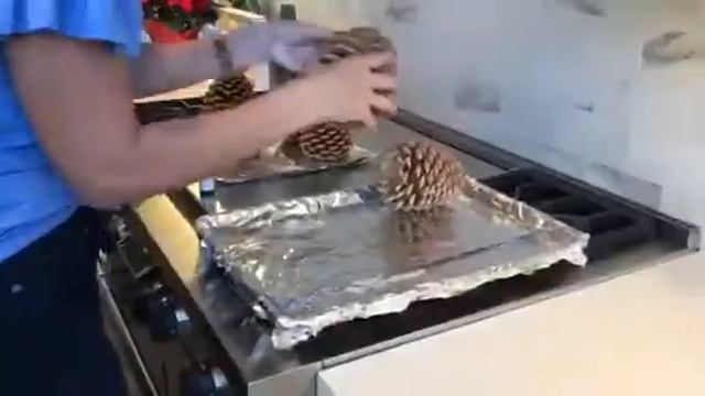 Bake PINECONES Cinnamon smell scented pine cones - kill bugs before CRAFTS with MOODY BLOOMS смотреть онлайн