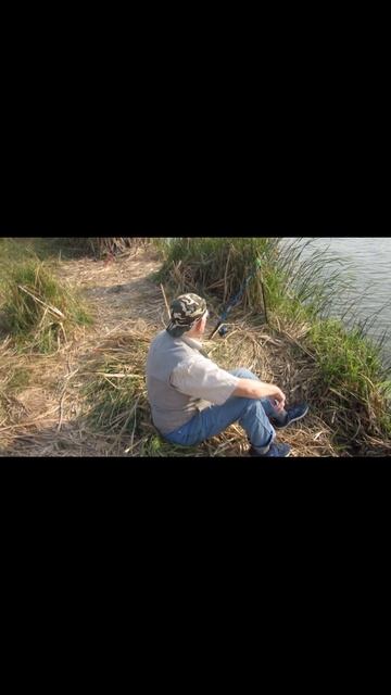 Ожидание поклевки щуки! На берегу реки Ишим! Рыбалка 2022. #shorts #short